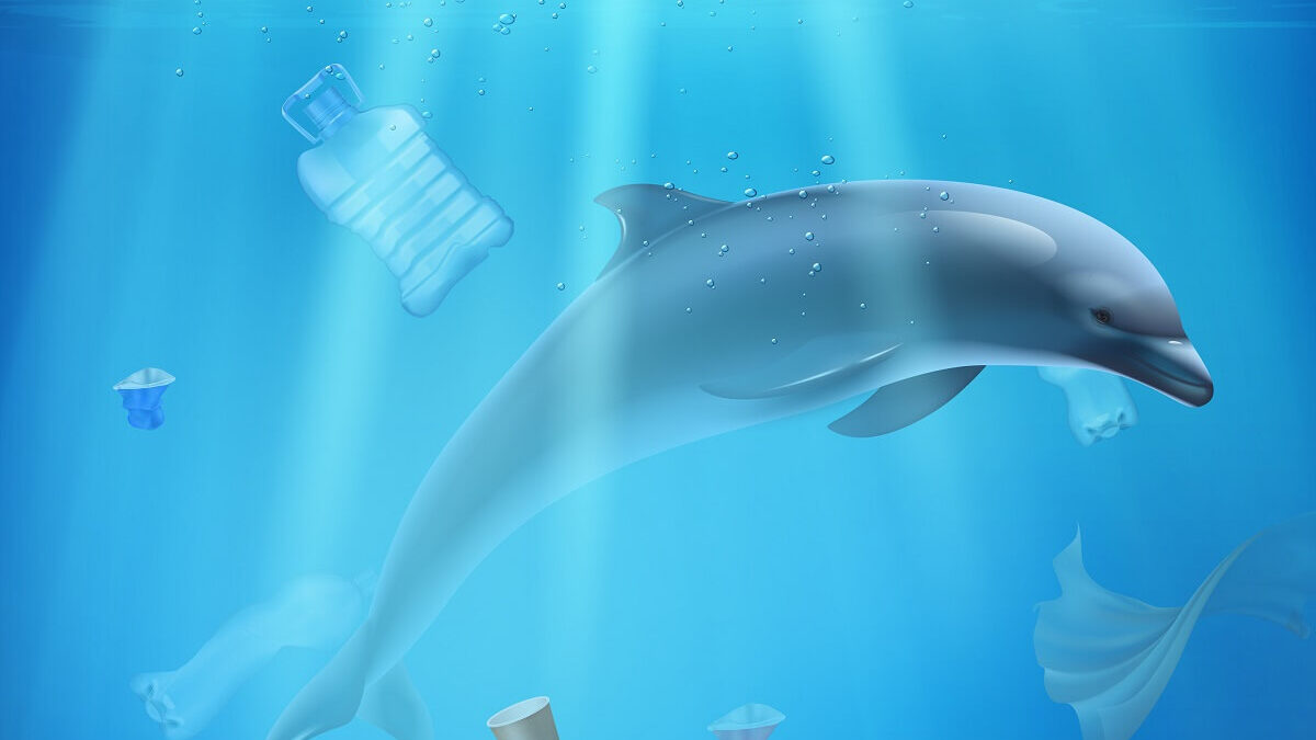 Sup (Single-use plastics) direktíva – Új EU-s irányelvek