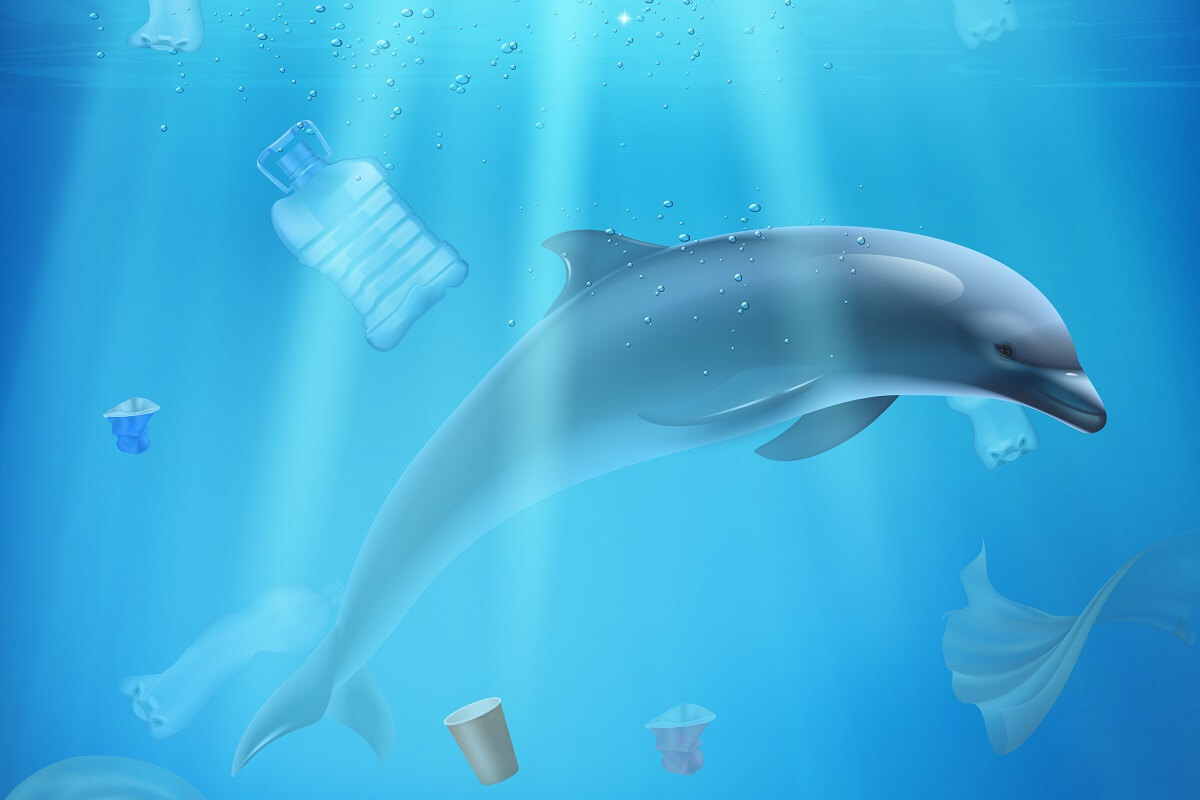 Sup (Single-use plastics) direktíva – Új EU-s irányelvek