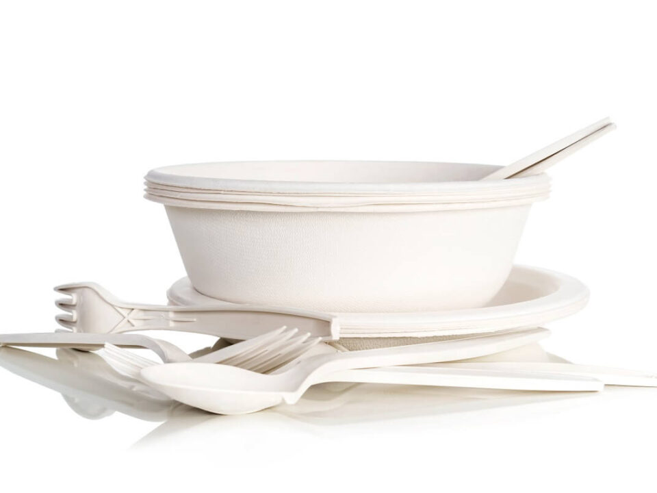 Tudnivalók a cukornádpépről, azaz a „bagasse”-ról
