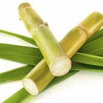 uvex pheos planet sisak újrahasznosított és bio alapú anyagokból