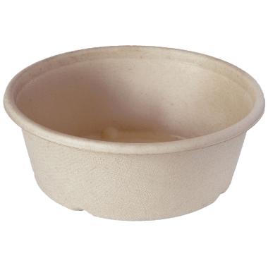 Bagasse