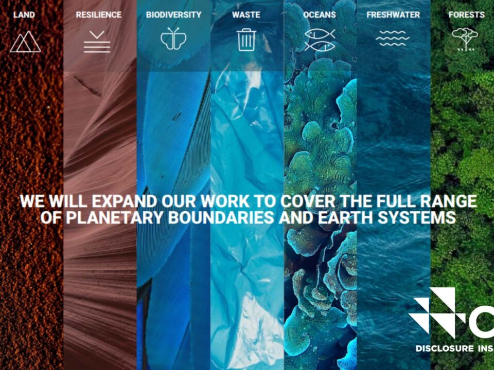 CDP eredmények - Carbon Disclosure Project 2023