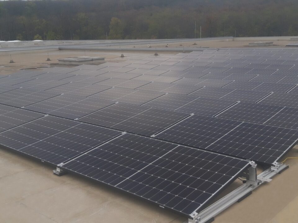 Úton a fenntarthatóság felé: CO2-kibocsátásunk csökkentése és kompenzálása