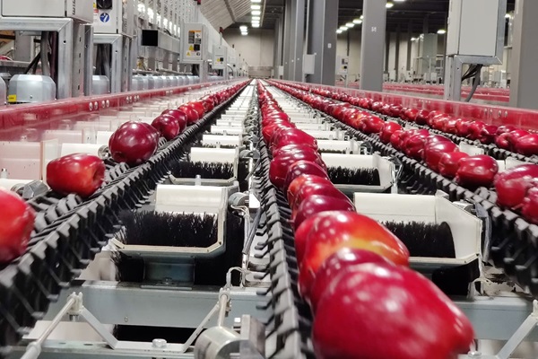 Gépek és berendezések