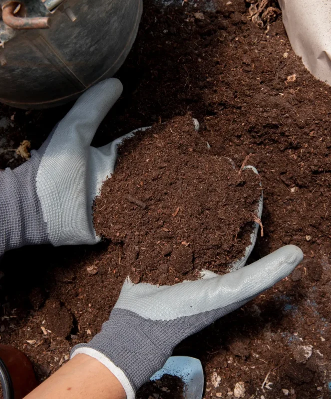 Környezetbarát termékek: mit jelent az „OK compost HOME” tanúsítvány?